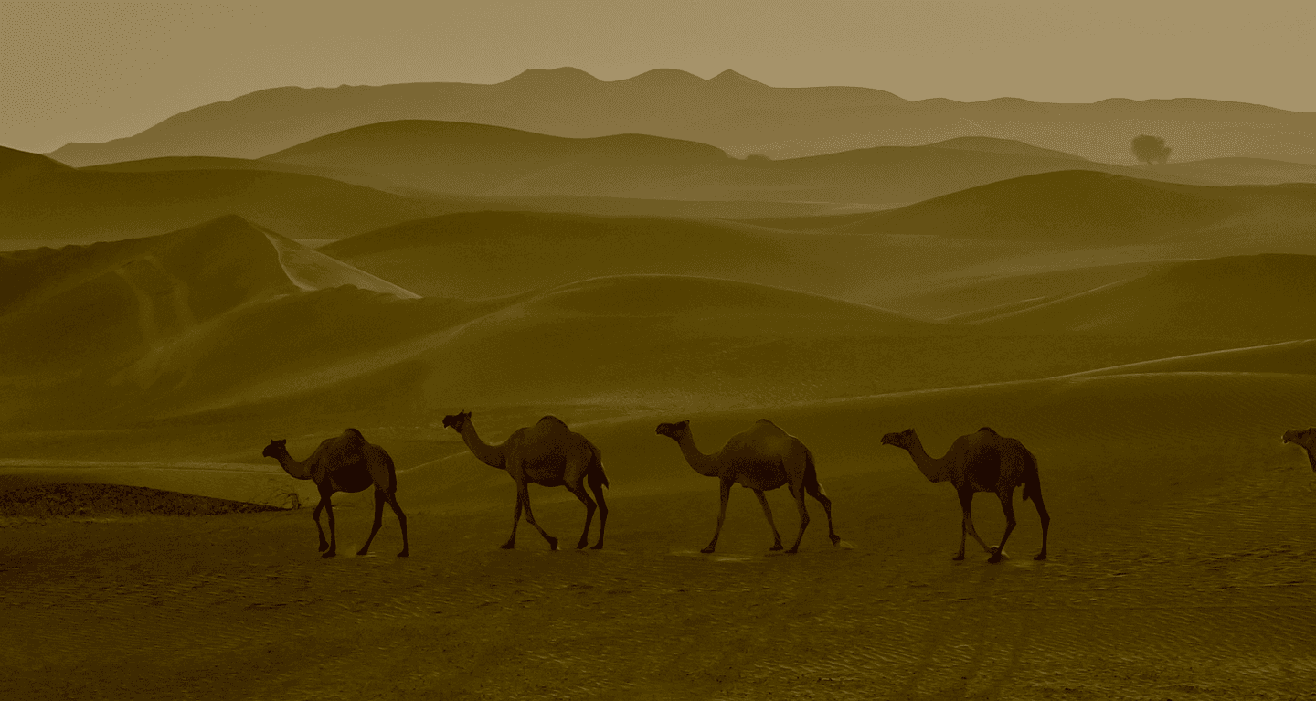 Hero Background (Dubai)